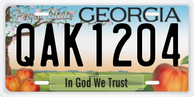 GA license plate QAK1204