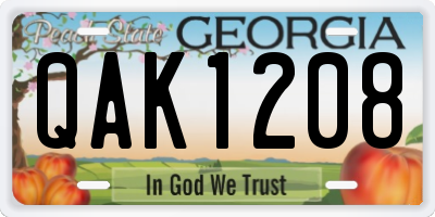 GA license plate QAK1208