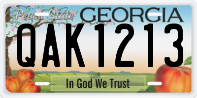 GA license plate QAK1213