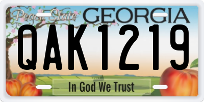 GA license plate QAK1219