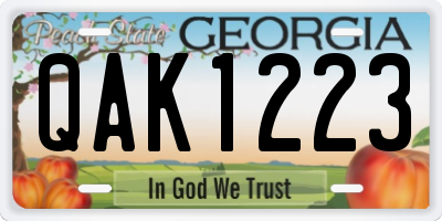 GA license plate QAK1223