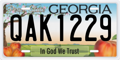 GA license plate QAK1229