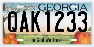 GA license plate QAK1233