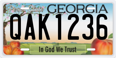 GA license plate QAK1236