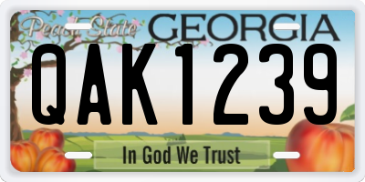 GA license plate QAK1239