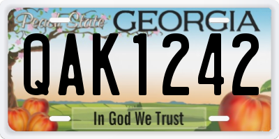 GA license plate QAK1242