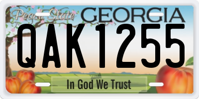 GA license plate QAK1255