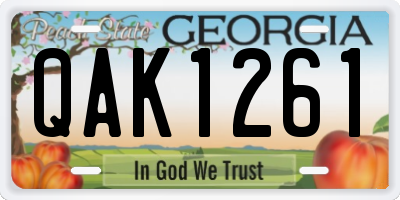 GA license plate QAK1261