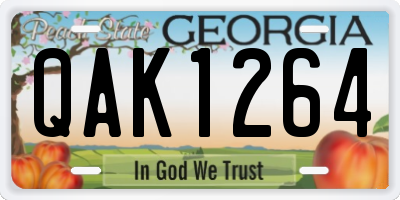 GA license plate QAK1264
