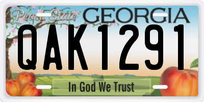 GA license plate QAK1291