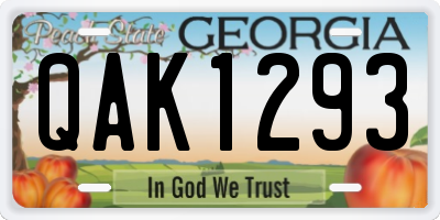 GA license plate QAK1293