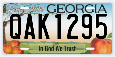 GA license plate QAK1295