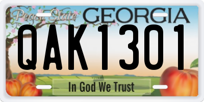 GA license plate QAK1301