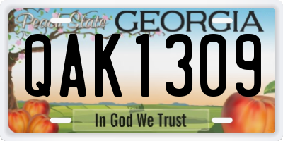 GA license plate QAK1309