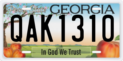 GA license plate QAK1310