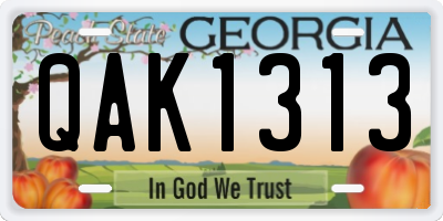 GA license plate QAK1313