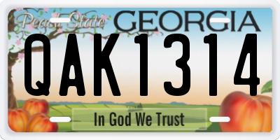 GA license plate QAK1314