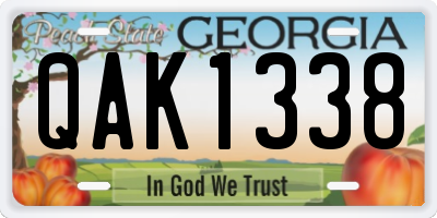 GA license plate QAK1338