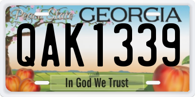 GA license plate QAK1339