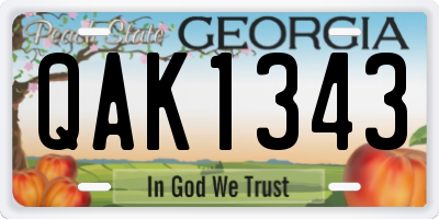 GA license plate QAK1343