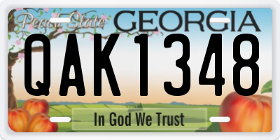 GA license plate QAK1348