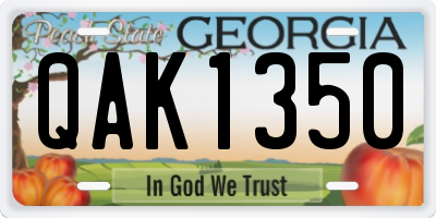 GA license plate QAK1350