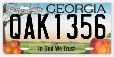 GA license plate QAK1356