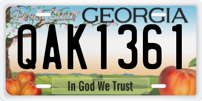 GA license plate QAK1361