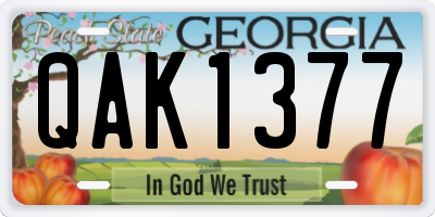 GA license plate QAK1377