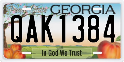 GA license plate QAK1384