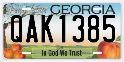 GA license plate QAK1385