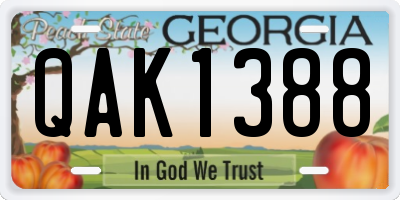 GA license plate QAK1388