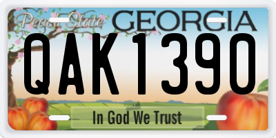 GA license plate QAK1390