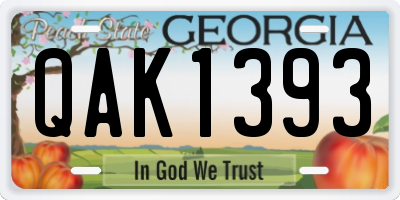 GA license plate QAK1393