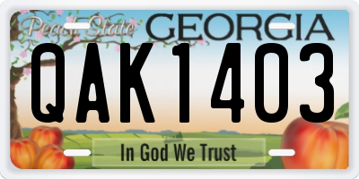 GA license plate QAK1403