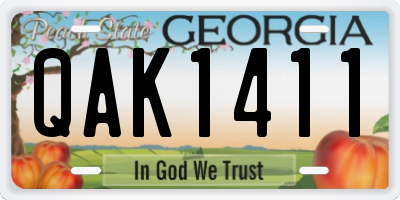 GA license plate QAK1411