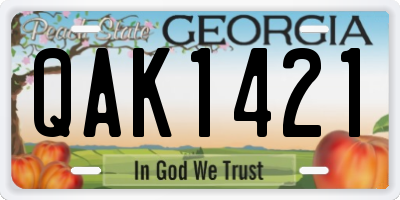 GA license plate QAK1421