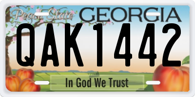 GA license plate QAK1442
