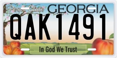 GA license plate QAK1491