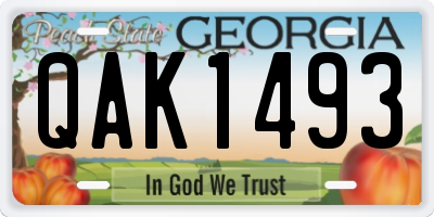GA license plate QAK1493