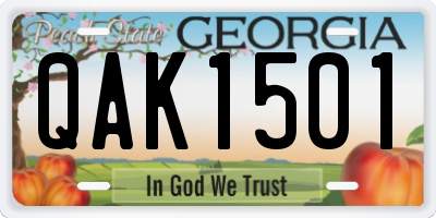 GA license plate QAK1501