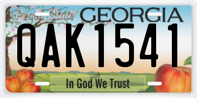 GA license plate QAK1541