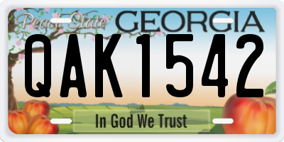 GA license plate QAK1542