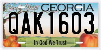 GA license plate QAK1603