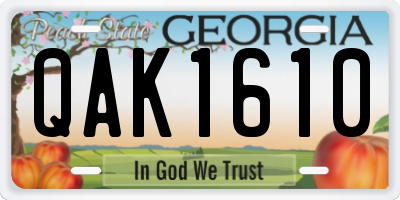 GA license plate QAK1610