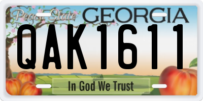 GA license plate QAK1611