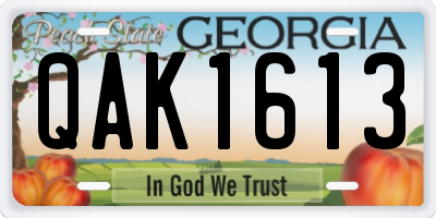 GA license plate QAK1613