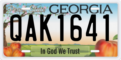 GA license plate QAK1641