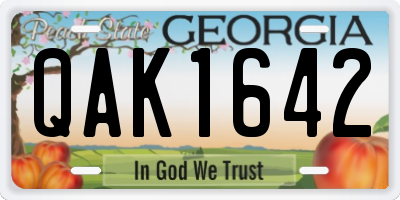 GA license plate QAK1642
