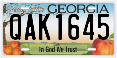 GA license plate QAK1645